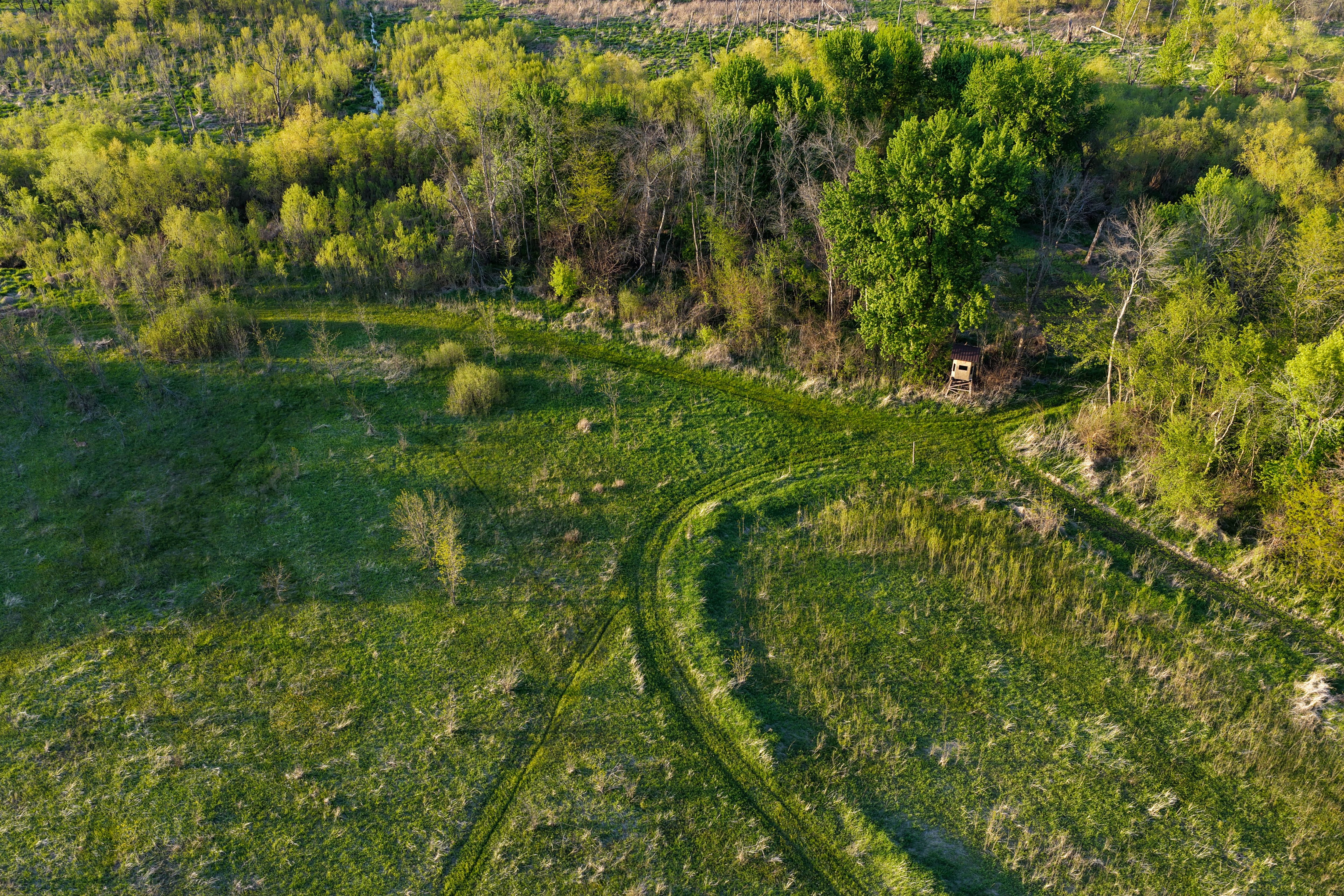 Listing Photo: Cedar County Whitetail Hutning Farm For Sale-19
